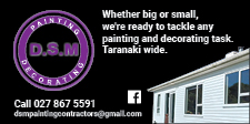 DSM Painting and Decorating